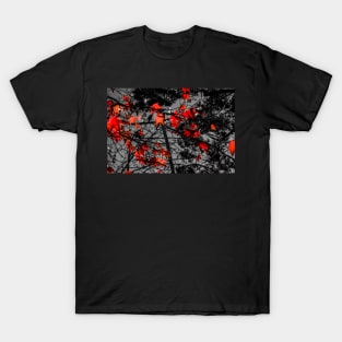 Leaves and light T-Shirt